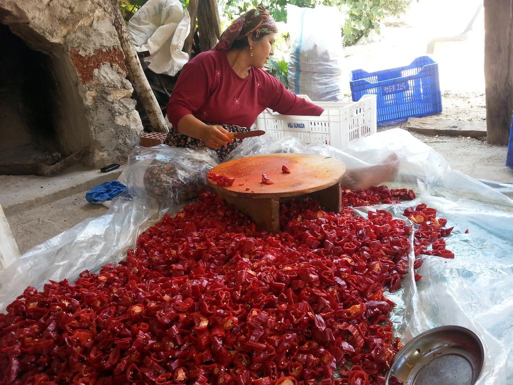 Beymelek Tas Evler Pension Demre Buitenkant foto